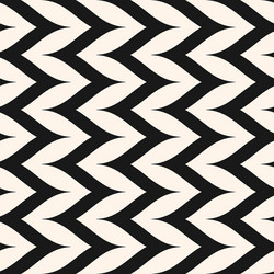 Seamless pattern vertical curly zig zag lines vector