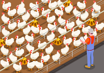 Poultry farm products isometric background Vector Image