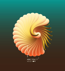 3d with seashell nautilus object smooth vector