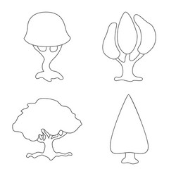 isolated object of tree and nature sign set vector image