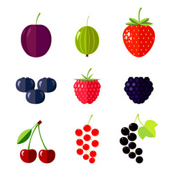 Berries set strawberry Royalty Free Vector Image