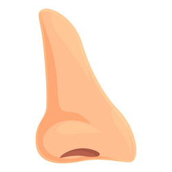 Rhinoplasty operation icon cartoon nose vector