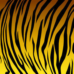 animal skin yellow tiger Vector Image