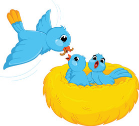 Mother blue bird feeding babies in a nest Vector Image