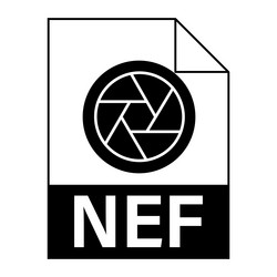 modern flat design of nef file icon for web vector image