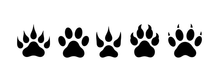 Animal Paw Print Icon - Dog, Cat, Bear Vector Image