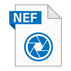 modern flat design of nef file icon for web vector image