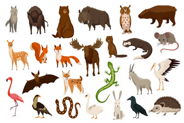 Animals europe nature fauna collection Royalty Free Vector Animals europe nature fauna collection Royalty Free Vector