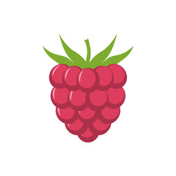 Raspberry with leaf icon vector