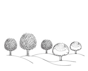 Trees hand drawn vector