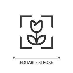 macro photo mode pixel perfect linear ui icon vector image