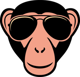 monkey with aviator sunglasses color vector