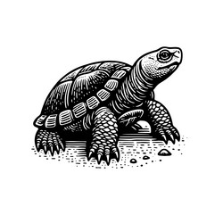 simple gopher tortoise walking side view icon vector image