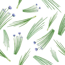 Watercolor Chive Pattern Vector Image