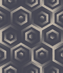 Dotted Hexagonal Grid Pattern vector image