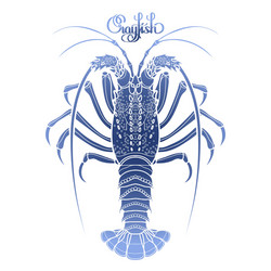 graphic crayfish vector