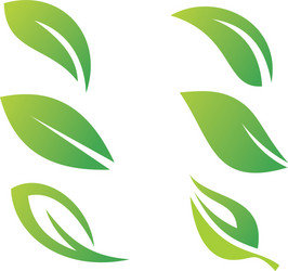 Green leaves and ecology logo vector