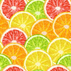 seamless pattern from citrus slices - lime lemon vector image