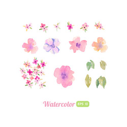 Watercolor Floral Elements - Set Vector Image