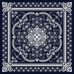 Paisley Floral Bandana Print Vector Image
