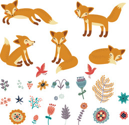 Adorable Foxes Character Set Vector Image