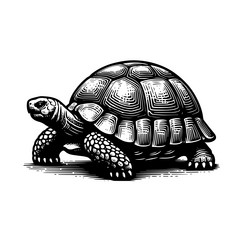 simple gopher tortoise walking side view icon vector image