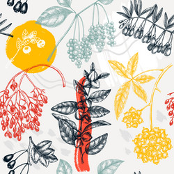 Collage style botanical background hand-sketched vector