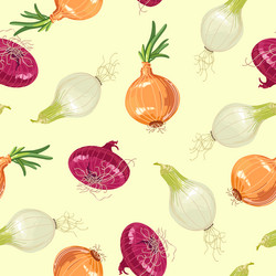 Multicolored pattern of onions different vector