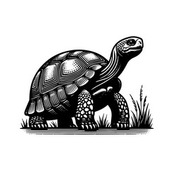 simple gopher tortoise walking side view icon vector image