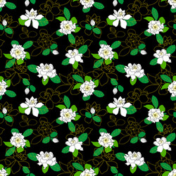 Gardenia Floral Pattern Vector Image