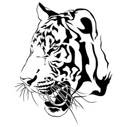 tiger head black and white Vector Image