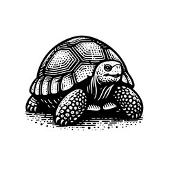 simple gopher tortoise walking side view icon vector image