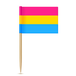 Pansexual Pride Toothpick Flag Vector Image