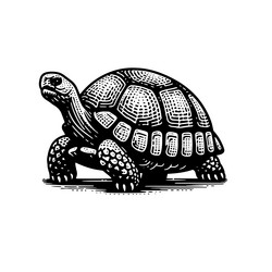 simple gopher tortoise walking side view icon vector image