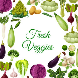 fresh vegetables mushroom and beans poster design vector