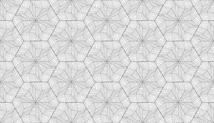lines hexagonal pattern in abstract style on white vector image