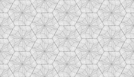 lines hexagonal pattern in abstract style on white vector