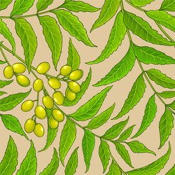 neem branches pattern on color background vector image