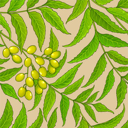 neem branches pattern on color background vector