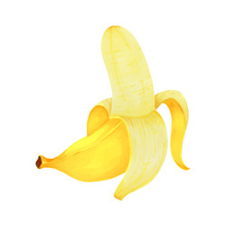 hand drawn markers painting fruit banana on white vector