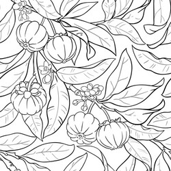 Garcinia branches pattern on color vector