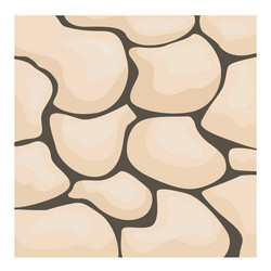seamless stone texture forming irregular pattern vector image