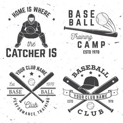 Baseball Club Badge Set Vector Image