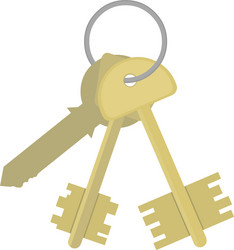 Bunch keys vector