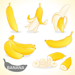 set of banana in various styles format vector