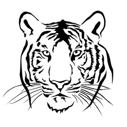 tiger head black and white Vector Image