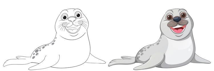 smiling seal in color and outline versions vector image