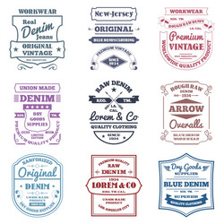 Denim Label Set Vector Image