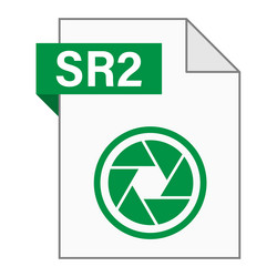 modern flat design of sr2 file icon for web vector image
