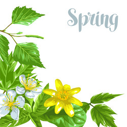 Spring Green Leaf and Flower Background Vector Image